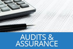 services-audits&assurance01